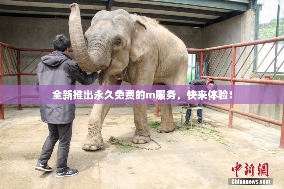 全新推出永久免费的m服务，快来体验！