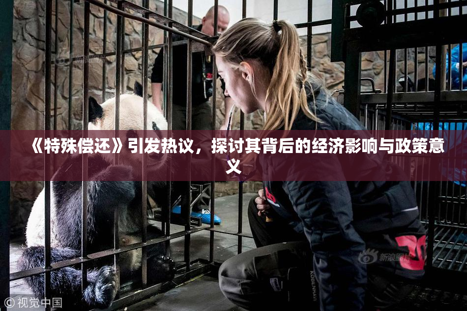 《特殊偿还》引发热议，探讨其背后的经济影响与政策意义