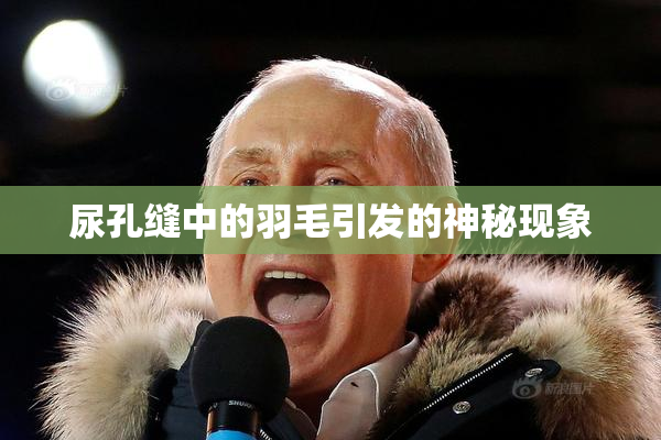 尿孔缝中的羽毛引发的神秘现象