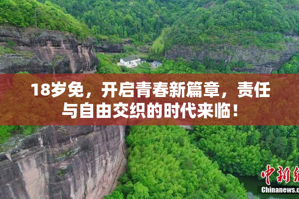 18岁免，开启青春新篇章，责任与自由交织的时代来临！