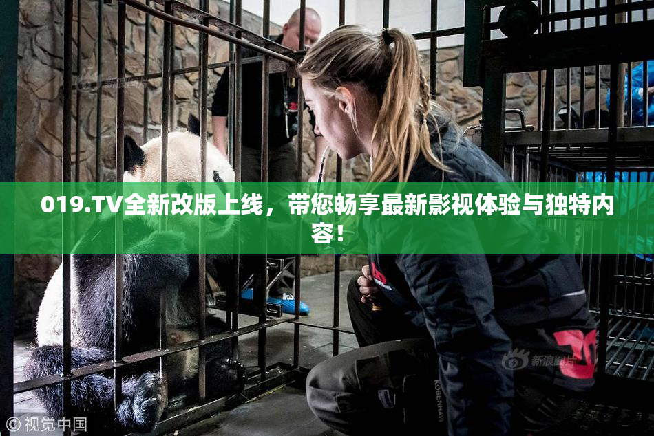019.TV全新改版上线，带您畅享最新影视体验与独特内容！