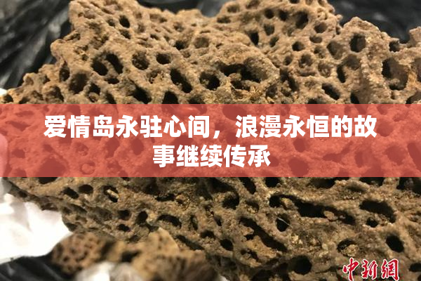 爱情岛永驻心间，浪漫永恒的故事继续传承
