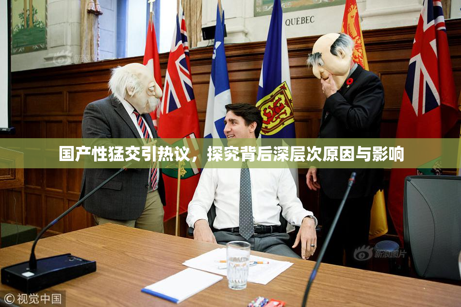 国产性猛交引热议，探究背后深层次原因与影响