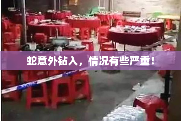 蛇意外钻入，情况有些严重！