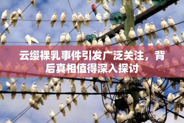 云缨裸乳事件引发广泛关注，背后真相值得深入探讨