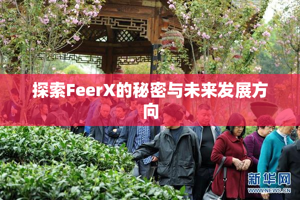 探索FeerX的秘密与未来发展方向