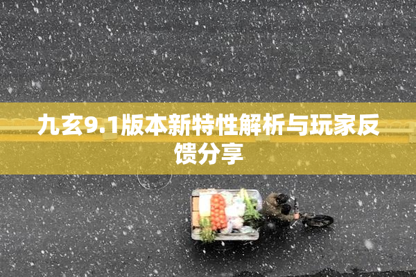 九玄9.1版本新特性解析与玩家反馈分享