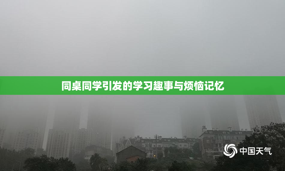 同桌同学引发的学习趣事与烦恼记忆