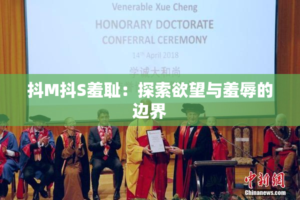 抖M抖S羞耻：探索欲望与羞辱的边界