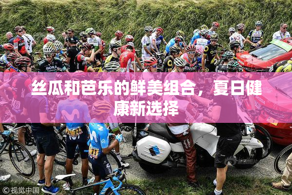 丝瓜和芭乐的鲜美组合，夏日健康新选择