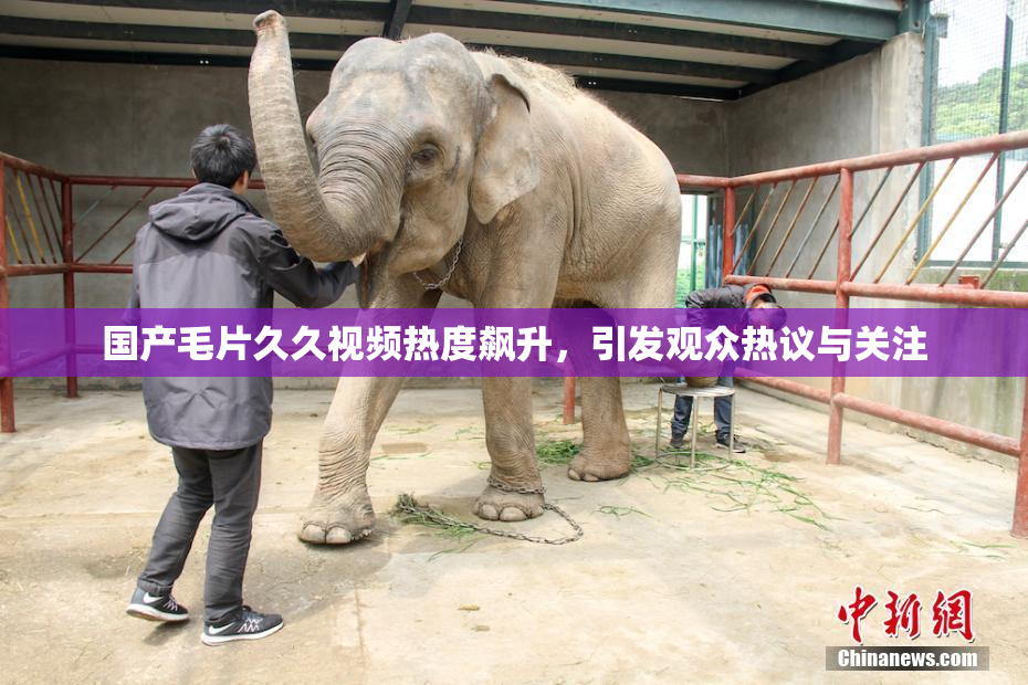 国产毛片久久视频热度飙升，引发观众热议与关注