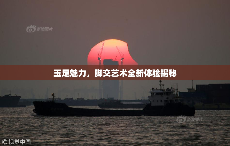 玉足魅力，脚交艺术全新体验揭秘