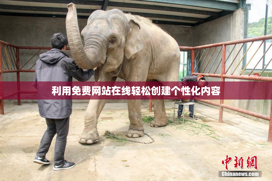 利用免费网站在线轻松创建个性化内容