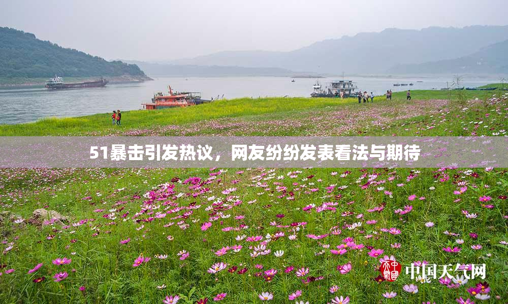 51暴击引发热议，网友纷纷发表看法与期待