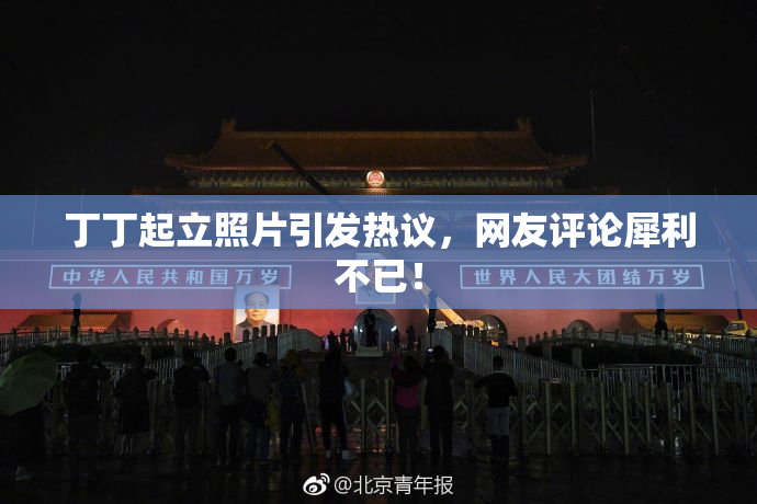 丁丁起立照片引发热议，网友评论犀利不已！