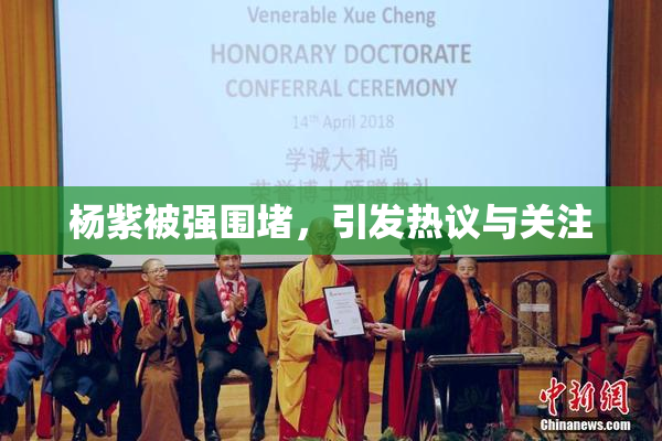 杨紫被强围堵，引发热议与关注