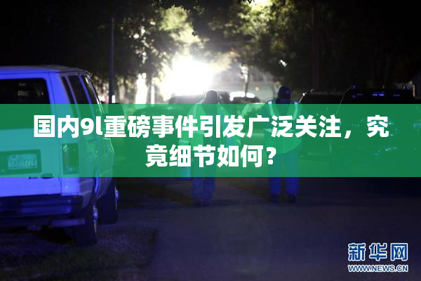 国内9l重磅事件引发广泛关注，究竟细节如何？