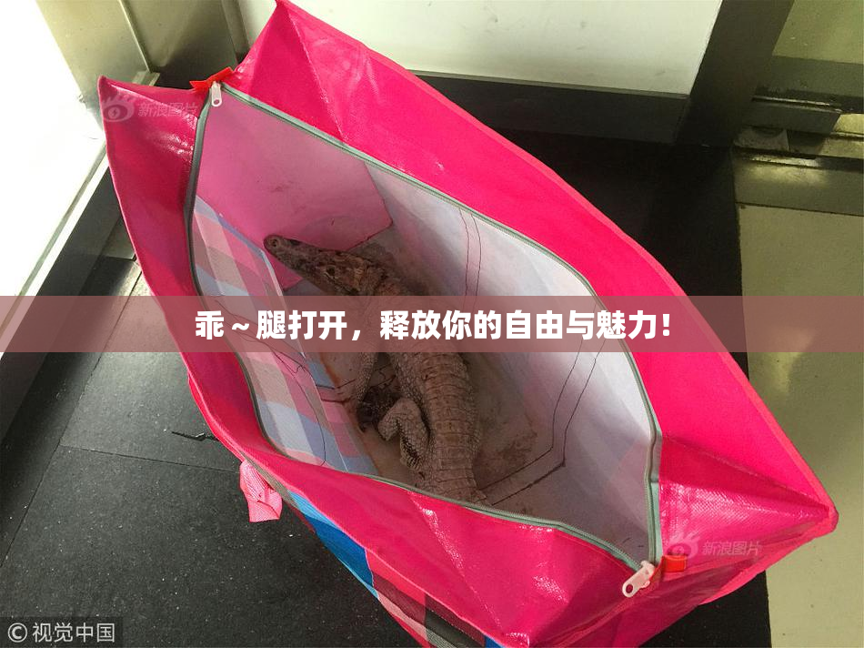 乖～腿打开，释放你的自由与魅力！