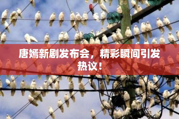 唐嫣新剧发布会，精彩瞬间引发热议！