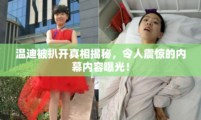 温迪被扒开真相揭秘，令人震惊的内幕内容曝光！