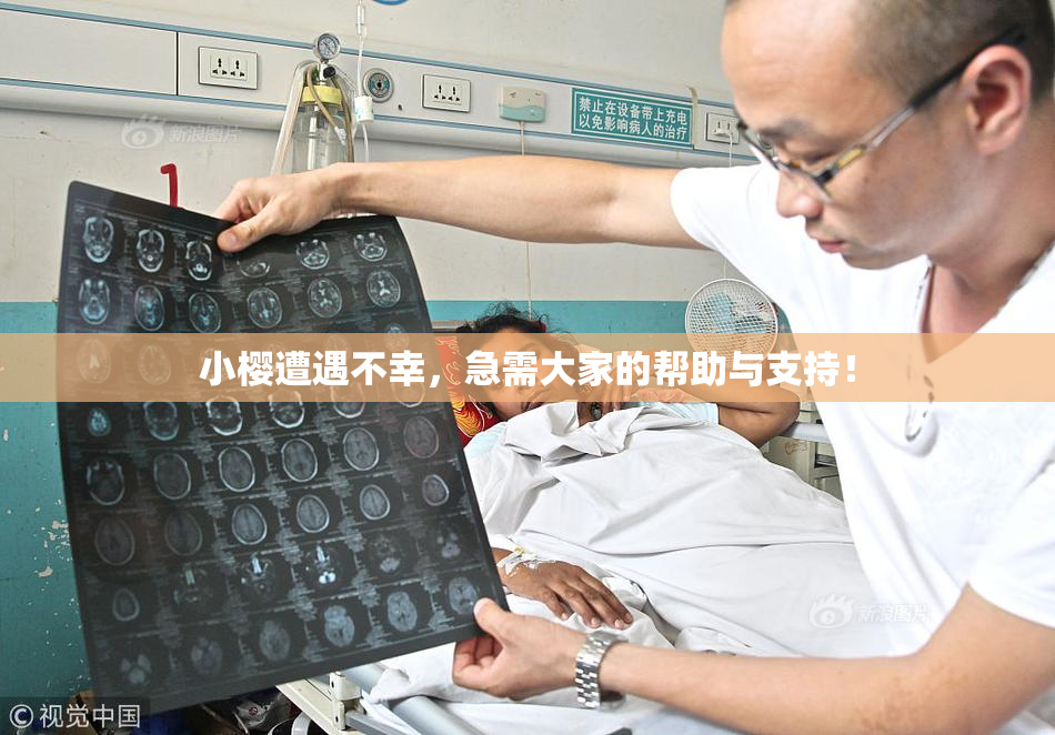 小樱遭遇不幸，急需大家的帮助与支持！