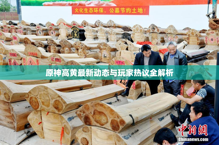原神高黄最新动态与玩家热议全解析