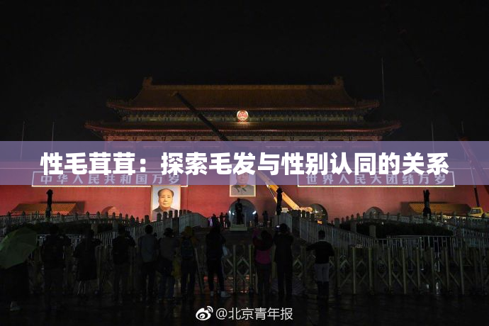 性毛茸茸：探索毛发与性别认同的关系