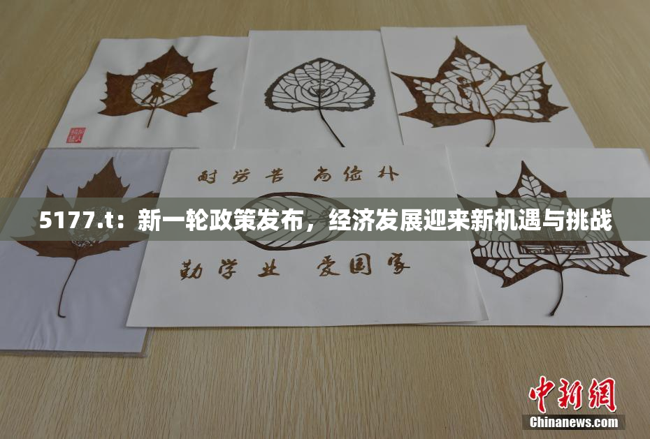 5177.t：新一轮政策发布，经济发展迎来新机遇与挑战