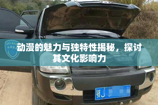 动漫的魅力与独特性揭秘，探讨其文化影响力