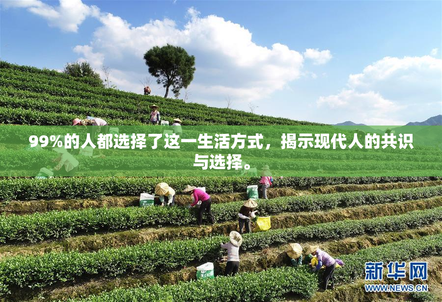 99%的人都选择了这一生活方式，揭示现代人的共识与选择。