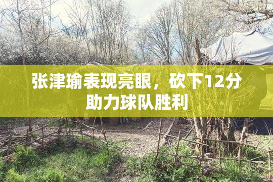张津瑜表现亮眼，砍下12分助力球队胜利