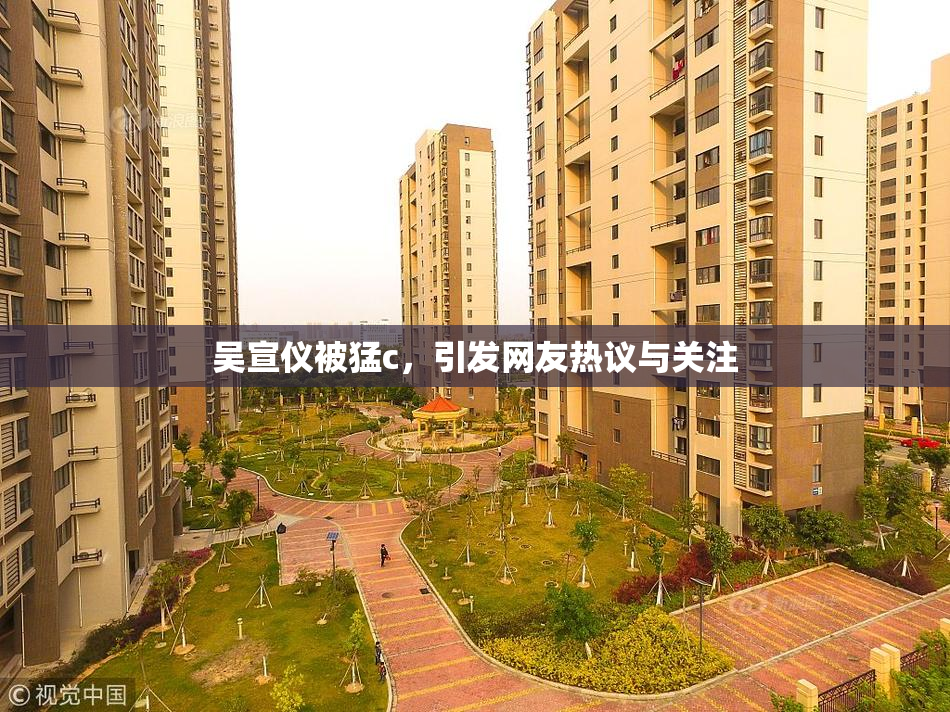 吴宣仪被猛c，引发网友热议与关注