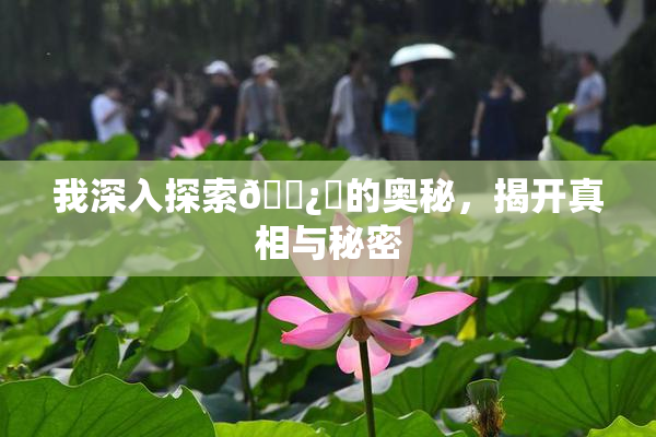 我深入探索🌿‌的奥秘，揭开真相与秘密