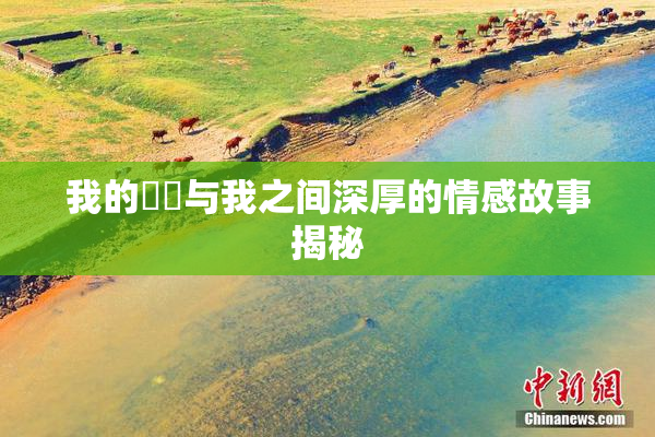 我的妺妺与我之间深厚的情感故事揭秘