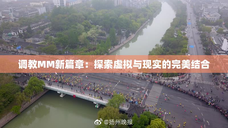 调教MM新篇章：探索虚拟与现实的完美结合