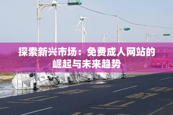 探索新兴市场：免费成人网站的崛起与未来趋势