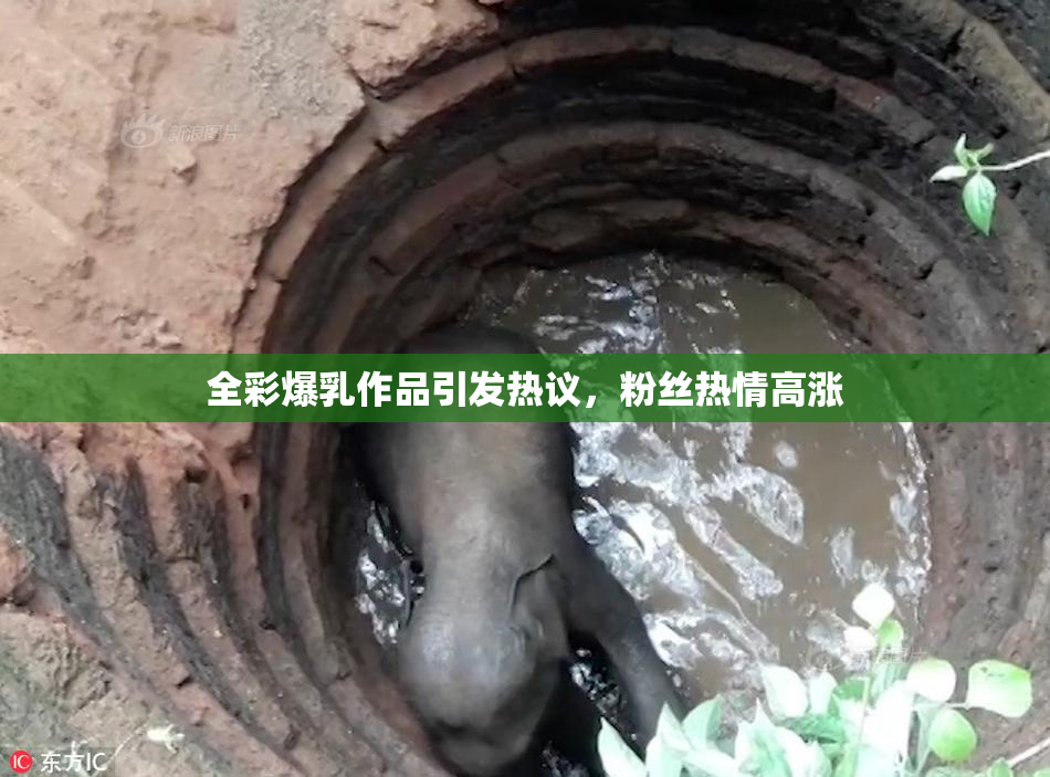 全彩爆乳作品引发热议，粉丝热情高涨