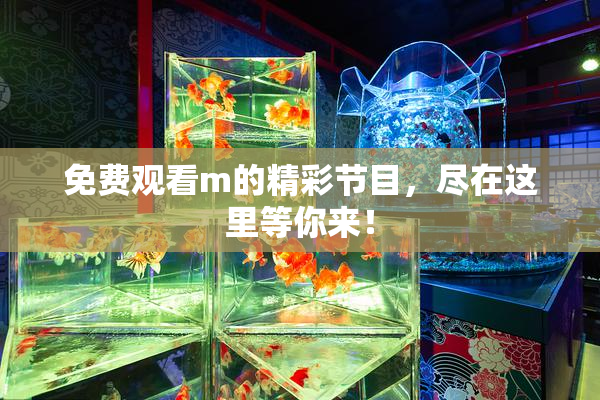免费观看m的精彩节目，尽在这里等你来！