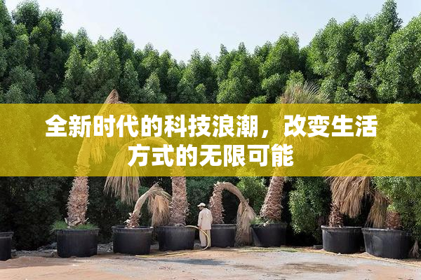 全新时代的科技浪潮，改变生活方式的无限可能