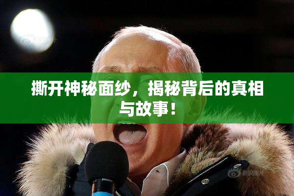 撕开神秘面纱，揭秘背后的真相与故事！