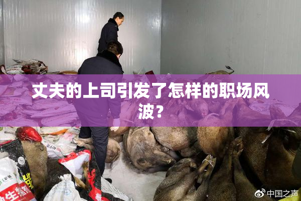 丈夫的上司引发了怎样的职场风波？