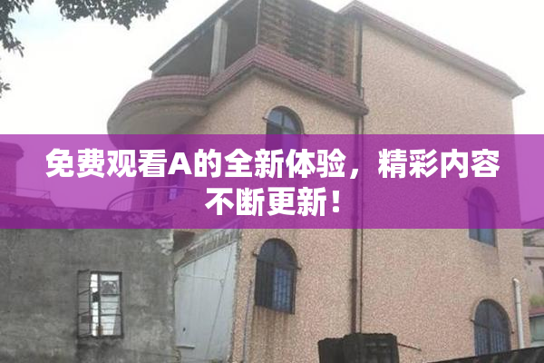 免费观看A的全新体验，精彩内容不断更新！
