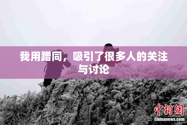 我用蹭同，吸引了很多人的关注与讨论