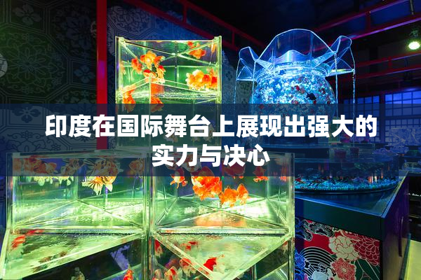 印度在国际舞台上展现出强大的实力与决心
