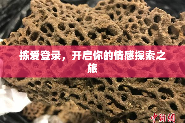 拣爱登录，开启你的情感探索之旅