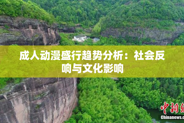 成人动漫盛行趋势分析：社会反响与文化影响