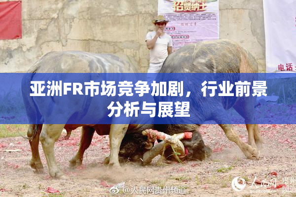 亚洲FR市场竞争加剧，行业前景分析与展望