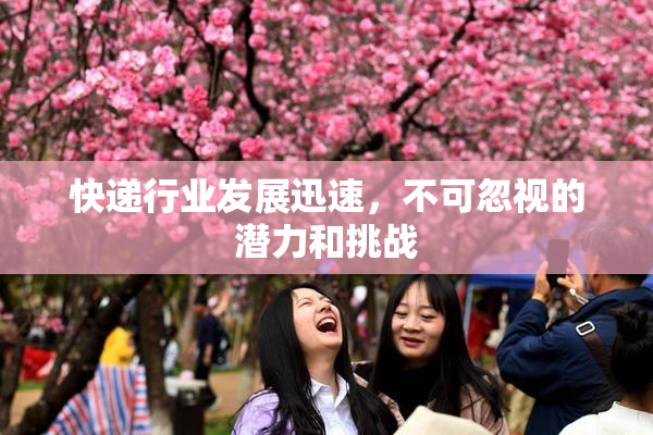 快递行业发展迅速，不可忽视的潜力和挑战