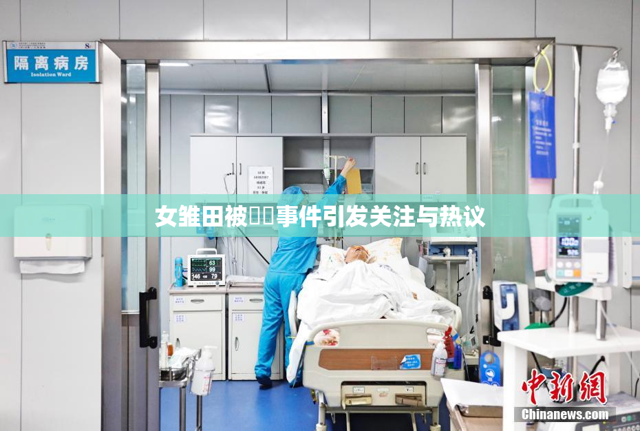 女雏田被❌‌事件引发关注与热议