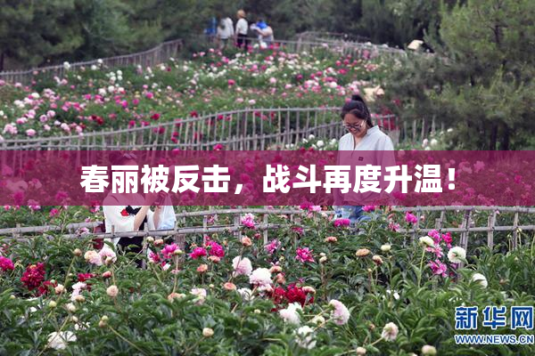 春丽被反击，战斗再度升温！